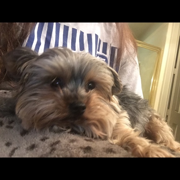 Meet your Posher, Julie - Picture 1 of 1